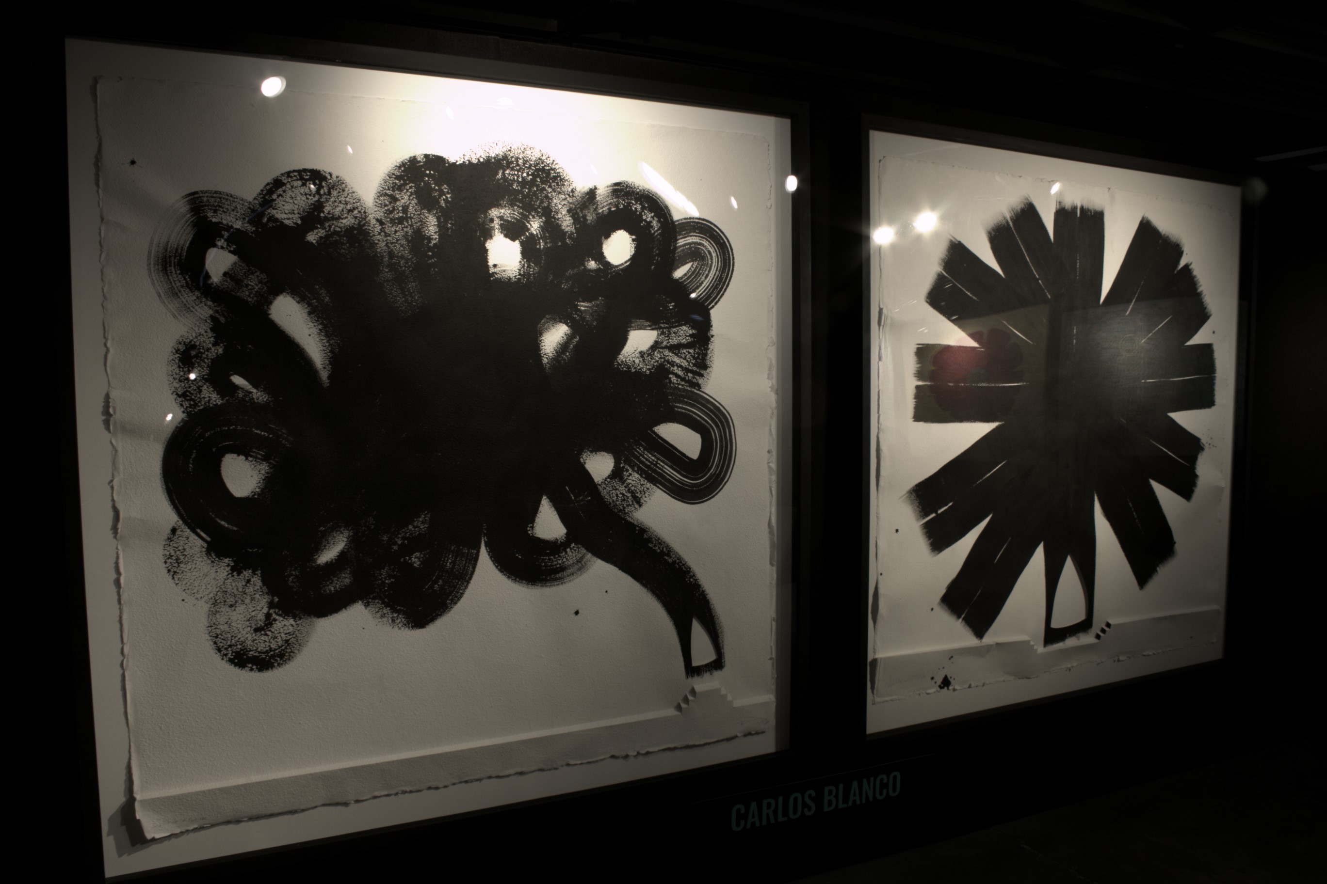 Entre raíces y memoria 3, registro de la exposición